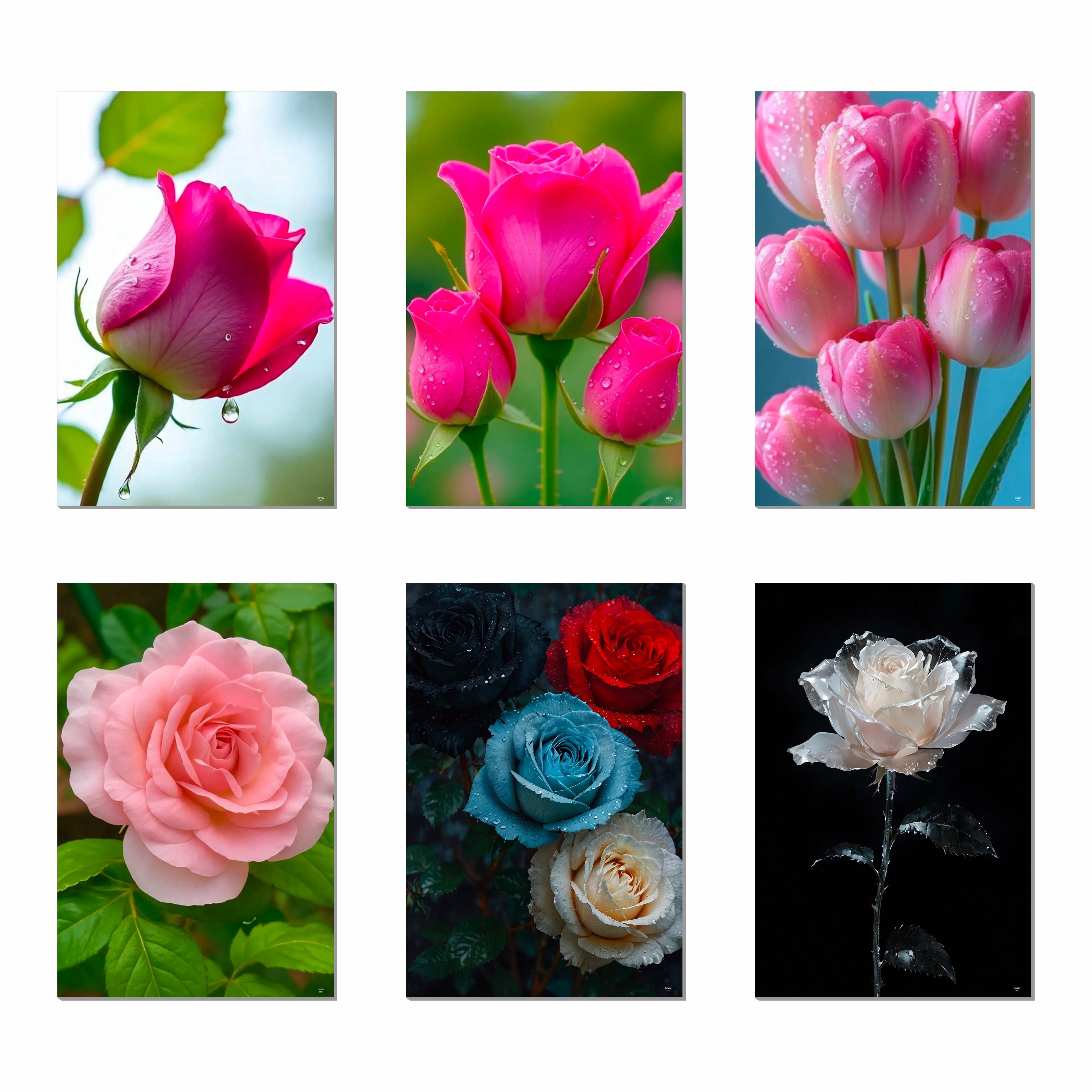 Flowers Wall Decor Poster A3 Size Portrait Floral Wall Art Designs Self Adhesive Laminated 300 GSM Paper Unframed Posters for Living Room and Bedroom