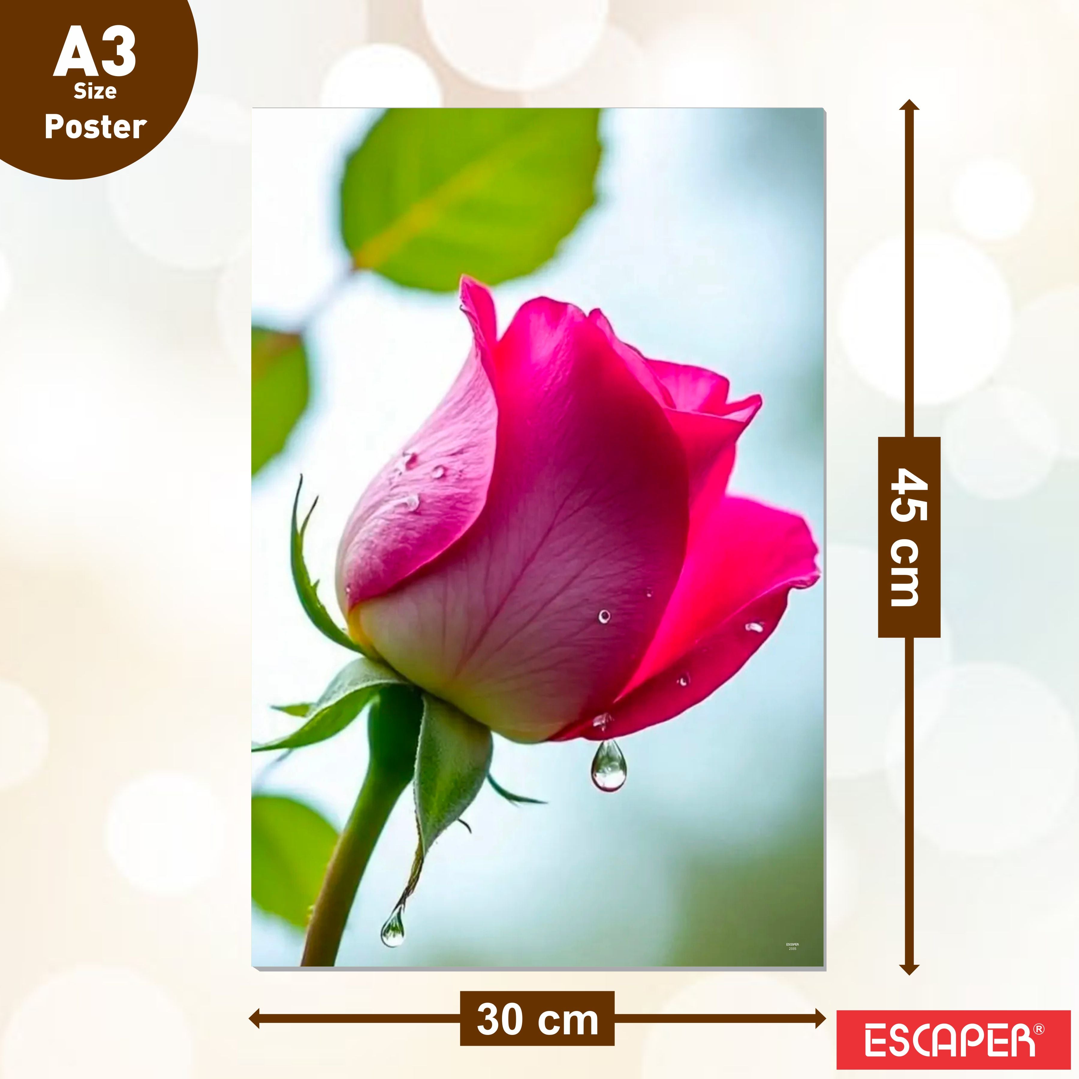 Flowers Wall Decor Poster A3 Size Portrait Floral Wall Art Designs Self Adhesive Laminated 300 GSM Paper Unframed Posters for Living Room and Bedroom