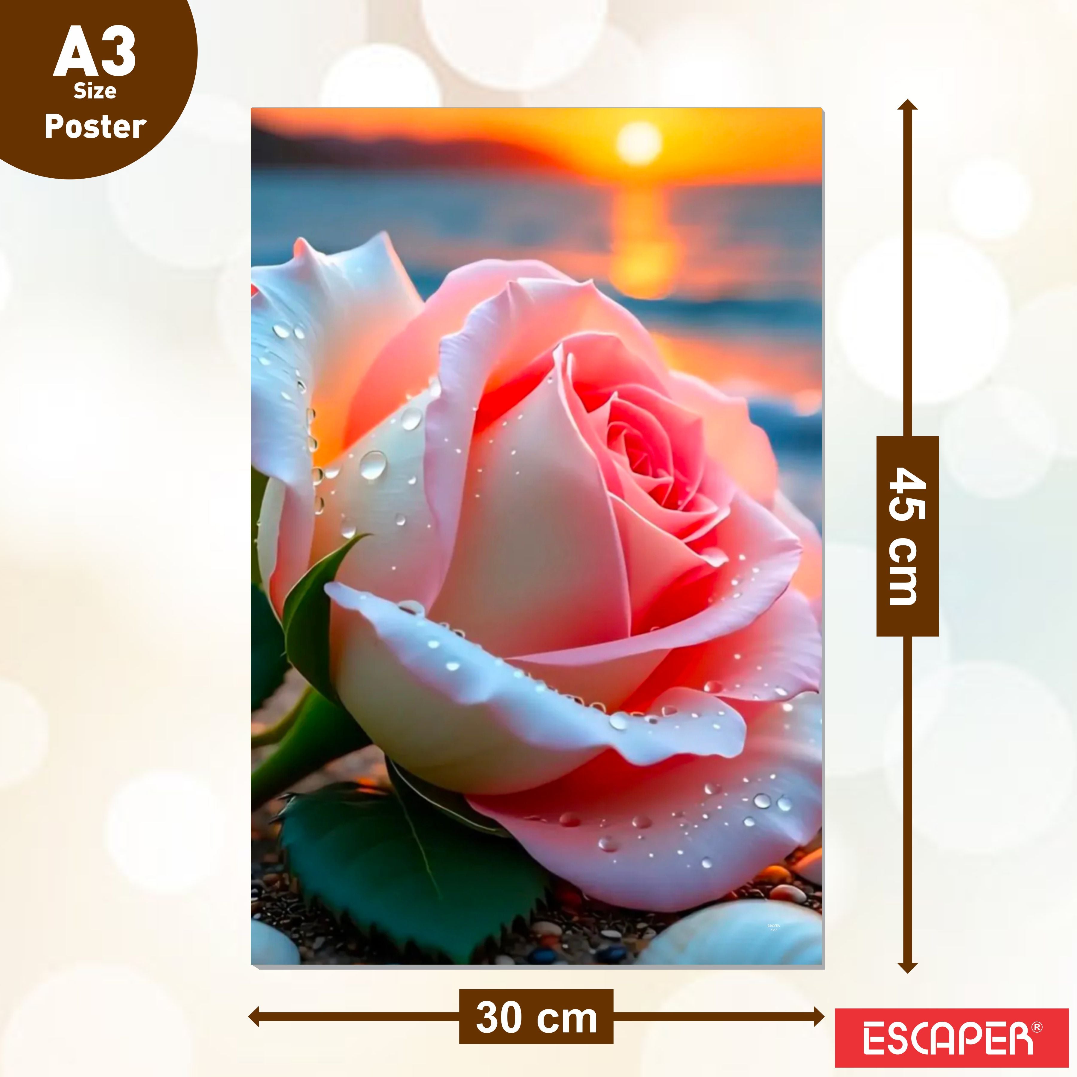 Colorful Flowers Wall Decor Poster (Pack Of 6) A3 Size Self Adhesive Laminated 300 GSM Paper Unframed Floral Wall Art Posters for Home Decoration, Living Room and Bedroom