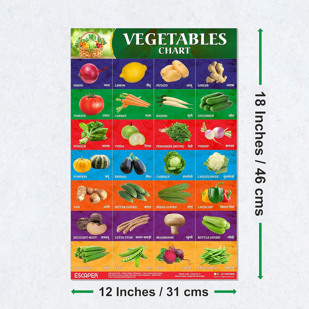 Vegetables Chart for Kids learning - Perfect for Homeschooling, Kindergarten and Nursery Students (11.5 x 17.5 inches), kids chart for 2 to 5 years, Classroom Charts
