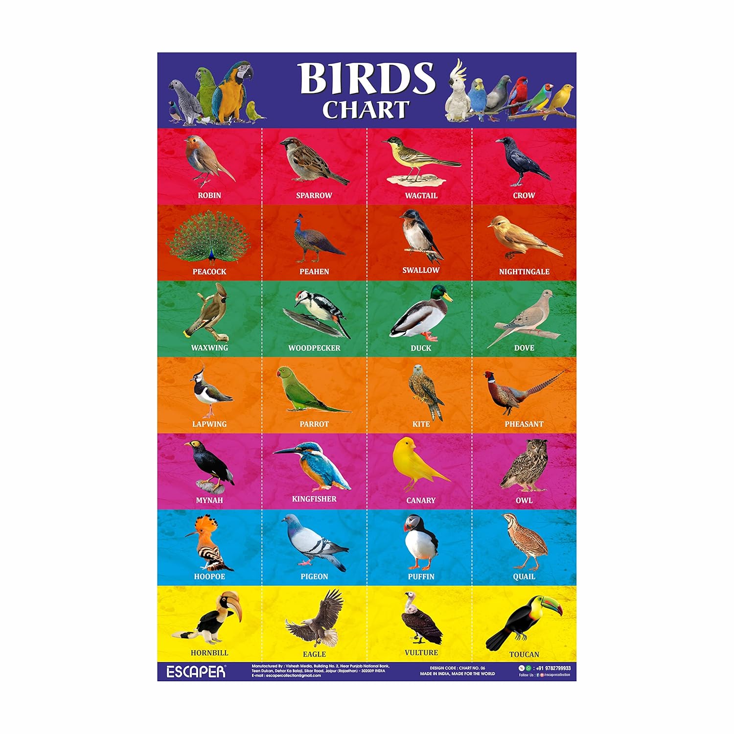 Birds Picture Chart for Kids learning (11.5 x 17.5 inches) Birds Chart for kids, chart for 2 to 5 years, Birds Name Chart, Birds Chart Paper, Birds Laminated Chart