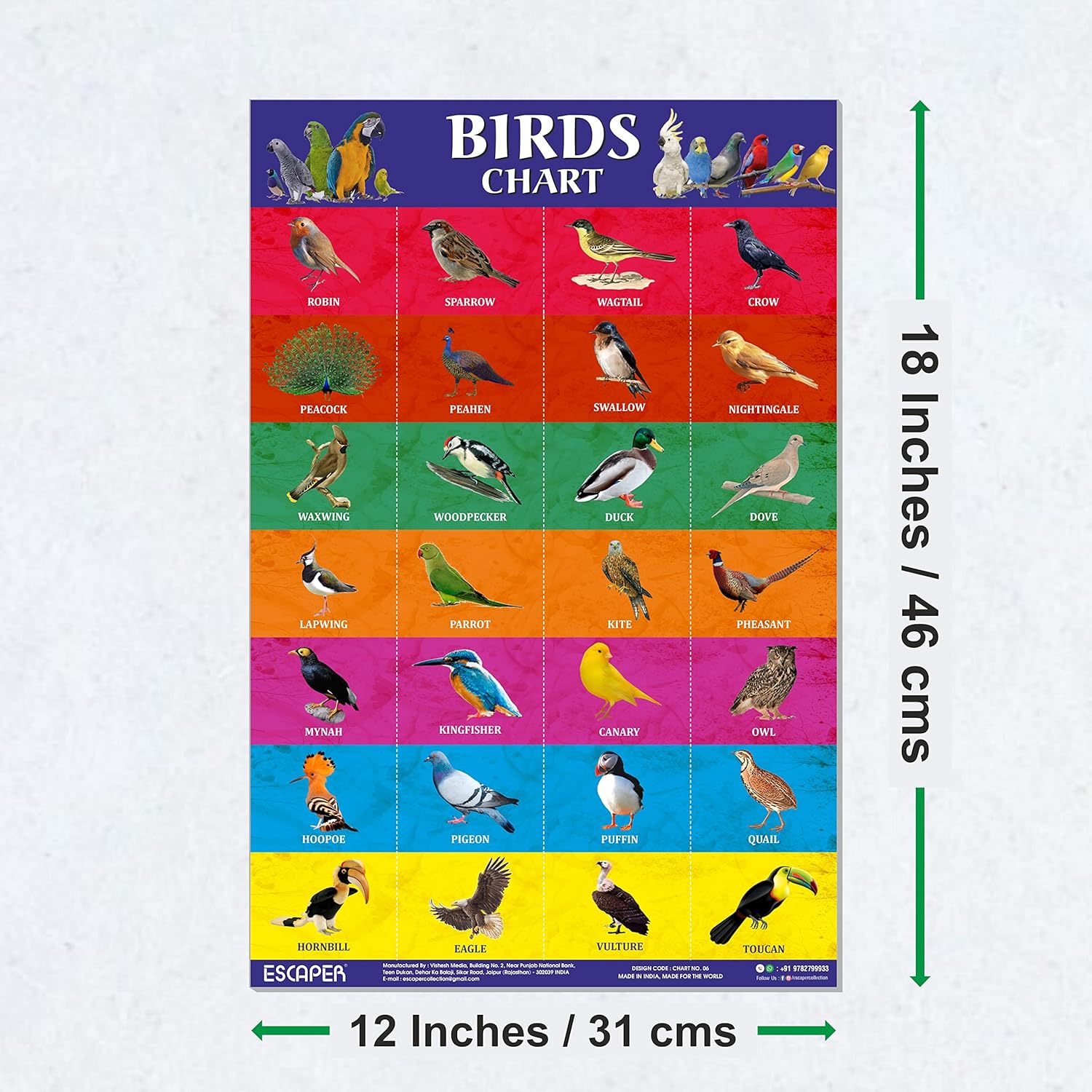 Birds Picture Chart for Kids learning (11.5 x 17.5 inches) Birds Chart for kids, chart for 2 to 5 years, Birds Name Chart, Birds Chart Paper, Birds Laminated Chart