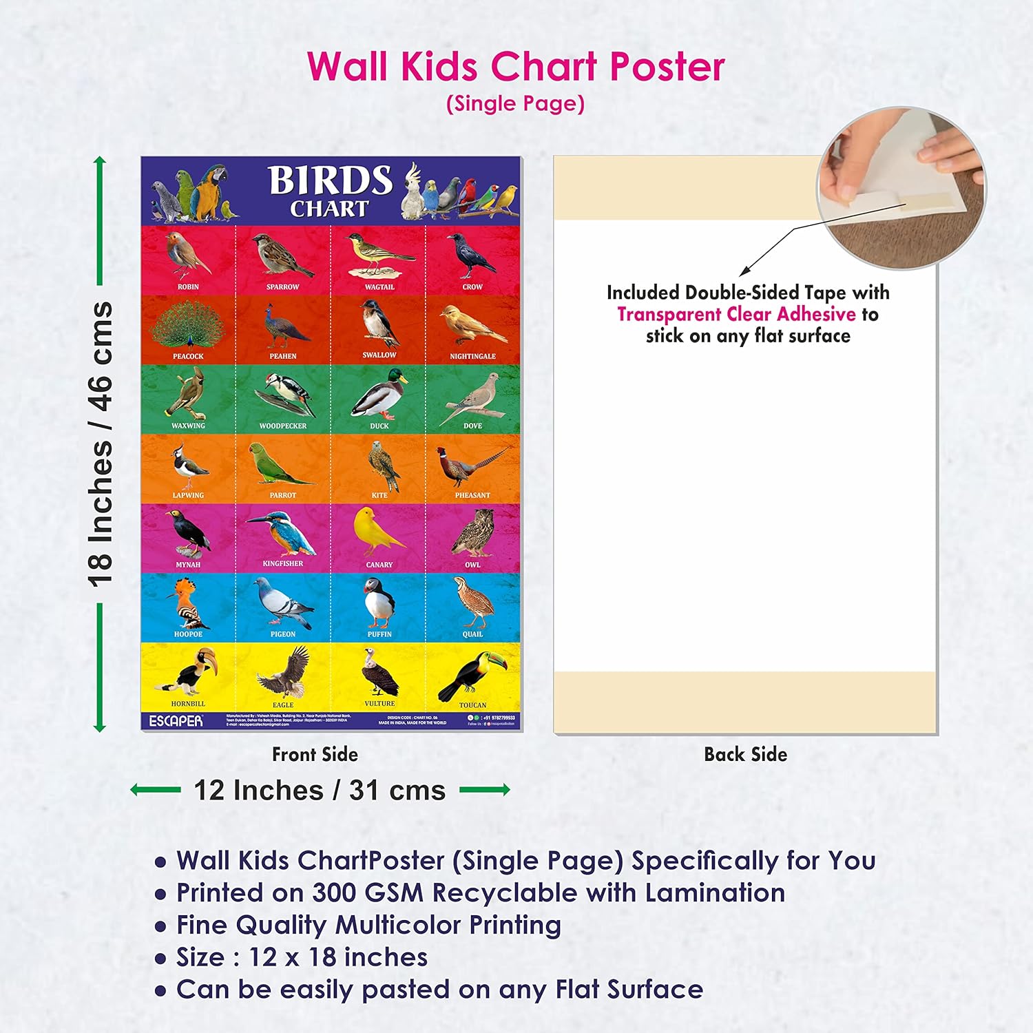 Birds Picture Chart for Kids learning (11.5 x 17.5 inches) Birds Chart for kids, chart for 2 to 5 years, Birds Name Chart, Birds Chart Paper, Birds Laminated Chart