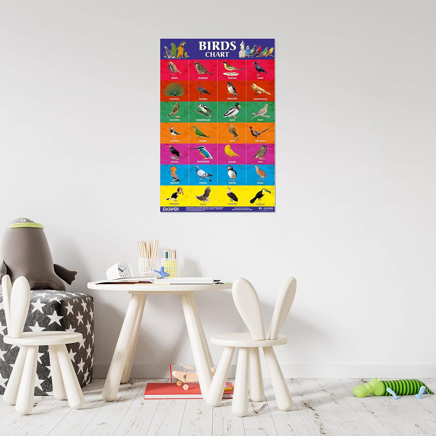 Birds Picture Chart for Kids learning (11.5 x 17.5 inches) Birds Chart for kids, chart for 2 to 5 years, Birds Name Chart, Birds Chart Paper, Birds Laminated Chart