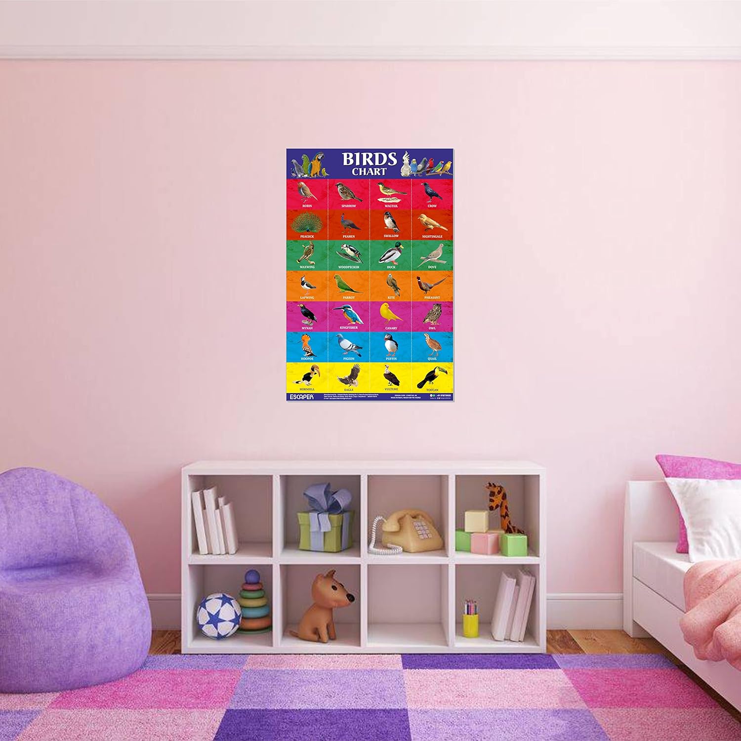 Birds Picture Chart for Kids learning (11.5 x 17.5 inches) Birds Chart for kids, chart for 2 to 5 years, Birds Name Chart, Birds Chart Paper, Birds Laminated Chart