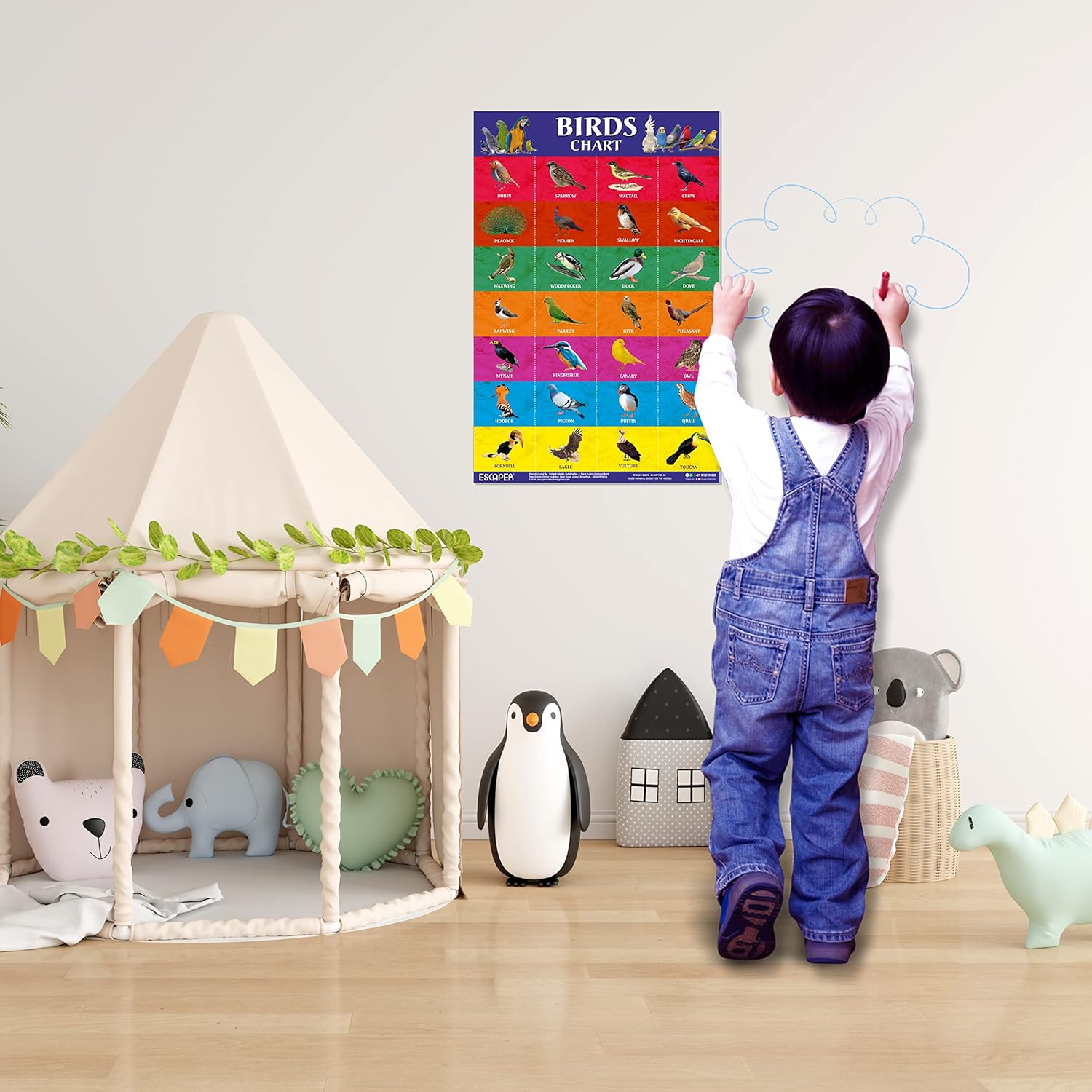 Birds Picture Chart for Kids learning (11.5 x 17.5 inches) Birds Chart for kids, chart for 2 to 5 years, Birds Name Chart, Birds Chart Paper, Birds Laminated Chart