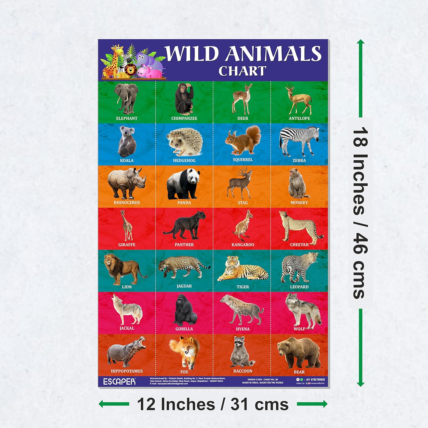 Wild Animals Chart for Kids learning (11.5 x 17.5 inches), Bill Wall Charts wild animals, Cut and paste picture of animals, Kids Animals Charts