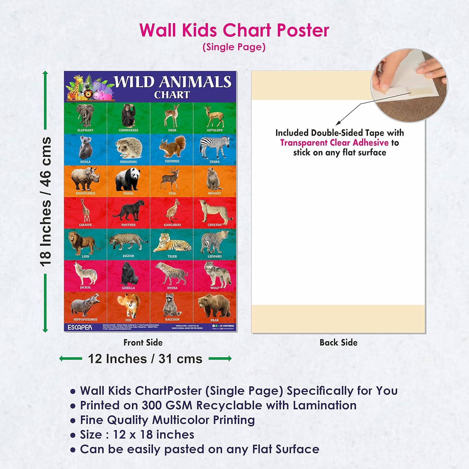 Wild Animals Chart for Kids learning (11.5 x 17.5 inches), Bill Wall Charts wild animals, Cut and paste picture of animals, Kids Animals Charts