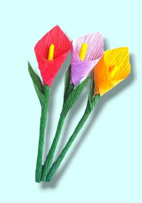 Assorted Crepe Paper Rolls, Wrinkled Craft Paper Set (2.5 mtr x 20" Inch Each), Flexible & Durable Crepe Paper for Craft, Flower Making, Gift Wrapping, and Party Decoration