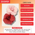 Assorted Crepe Paper Rolls, Wrinkled Craft Paper Set (2.5 mtr x 20" Inch Each), Flexible & Durable Crepe Paper for Craft, Flower Making, Gift Wrapping, and Party Decoration