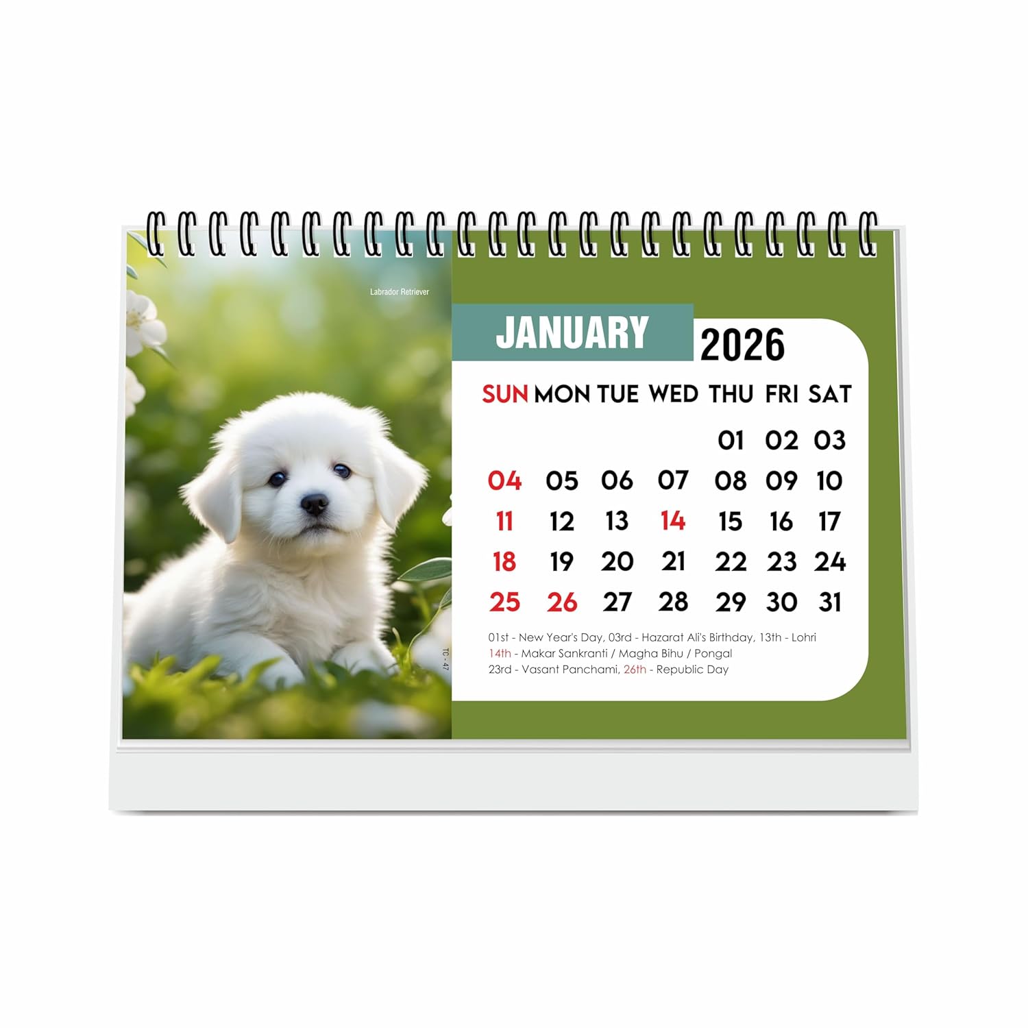 Cute Puppies 2026 Desk Calendar, A5 Size Puppy Desktop Calendar, Puppy Lover Gift, 16-Page Desk Calendar with Holidays & To-Do List, New Year Gift, Dogs Calendar 2026
