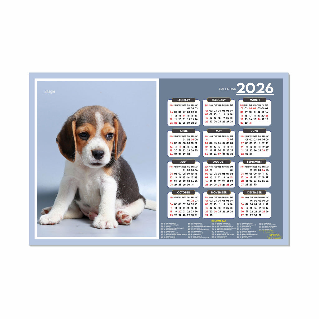Beagle Dog Wall Calendar 2026 – 45 x 30 cm, Cute Puppy & Pet Dog Photos, Wall Decor Calendar for Home, Kids Room & New Year Gift