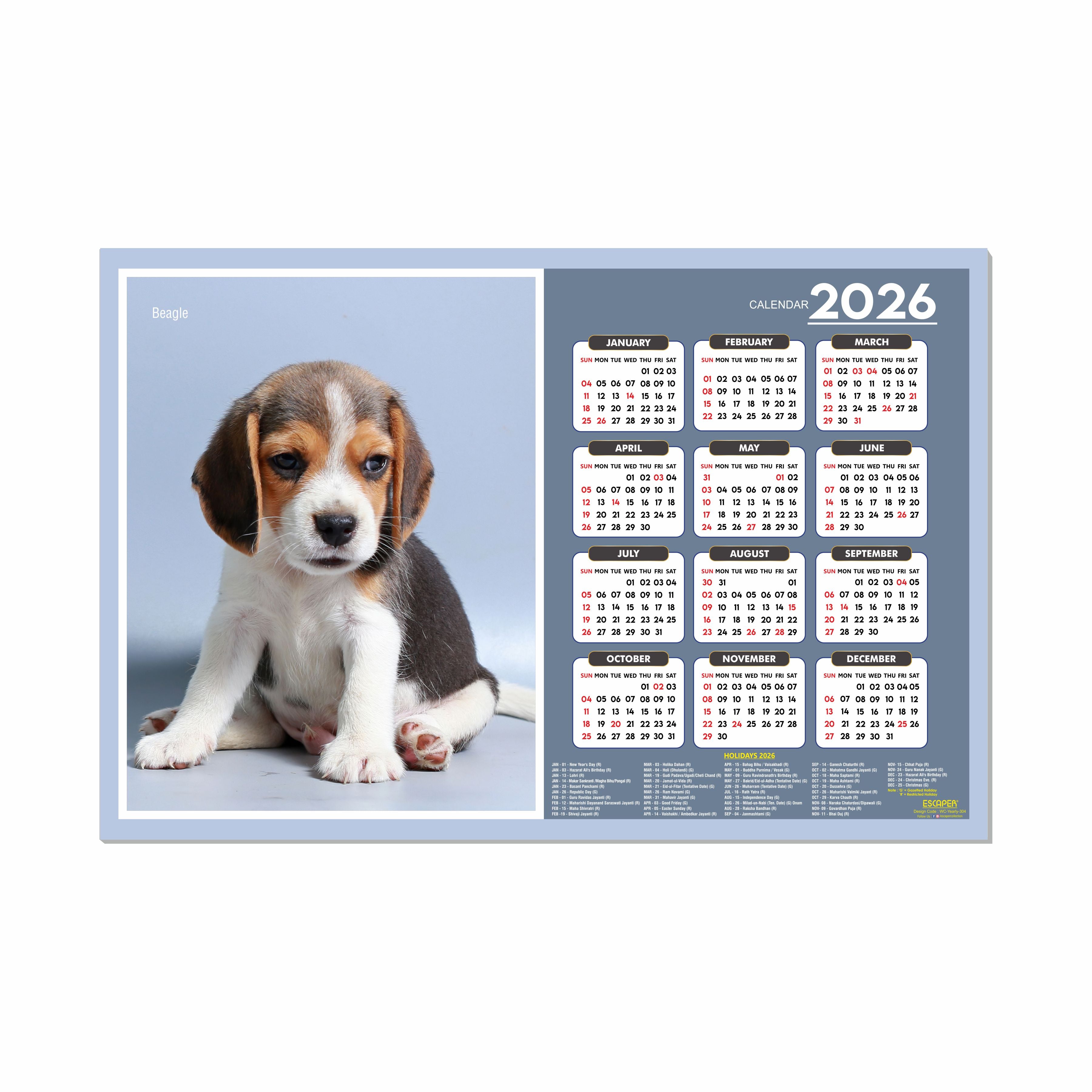 Beagle Dog Wall Calendar 2026 – 45 x 30 cm, Cute Puppy & Pet Dog Photos, Wall Decor Calendar for Home, Kids Room & New Year Gift